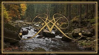 AEPHANEMER  The Call Of The Wild OFFICIAL TRACK [upl. by Ehtnax]