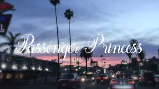 Passenger Princess  Nessa Barrett Cover [upl. by Ynaffets]