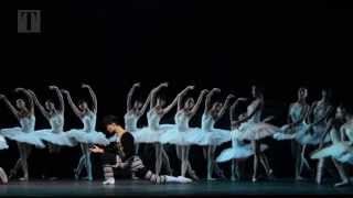 Kim Kimin in Hong Kong Ballets Swan Lake [upl. by Walkling106]