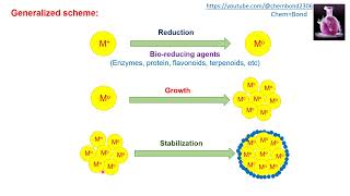 Synthesis of Nanoparticles biological methods [upl. by Shirlene338]