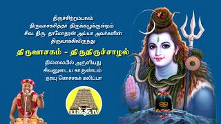 திருவாசகம்  திருச்சாழல்  Thiruvasagam  Thiruchalal  சிவ தாமோதரன் ஐயா [upl. by Llecram663]