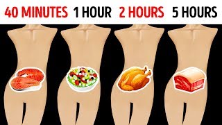 How Long Foods Stay In Your Stomach [upl. by Ahsiel]