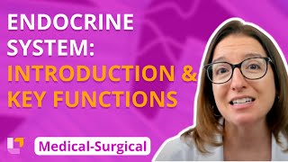 Endocrine Introduction amp Key functions  MedicalSurgical  Endocrine  Level Up RN [upl. by Clyte697]