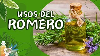 🌿Usos y beneficios del ROMERO para la Salud🌿 [upl. by Gudrin]