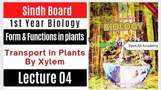 transport in plant  xylem  vessels  tracheids  forms and functions in plants [upl. by Wayland635]