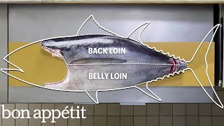 How To Butcher a Whole Tuna Every Cut of Fish Explained  Handcrafted  Bon Appétit [upl. by Johns]