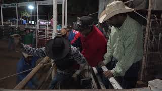 Kununurra Ord Valley Muster Rodeo [upl. by Aicatsana]