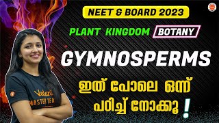 What are Gymnosperms  Plant Kingdom Part 4  Plus One Biology  NEET  Vedantu Malayalam [upl. by Melodee713]