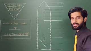 How to Draw Alimentary canal of Earthworm  Diagram Motivation by Dr Vaibhav Awasthi  Yo Yoo Bio [upl. by Nuahsor655]