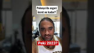 Polonya’da Asgari Ücret ne kadar Peki 2023’de Ne Kadar Olacak [upl. by Vowel836]