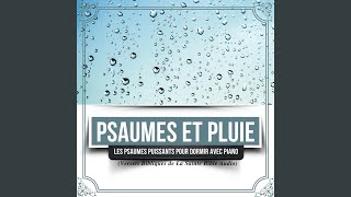 Psaumes 1199 Et Plus Psaumes Pour bien Dormir En Paix [upl. by Norb]