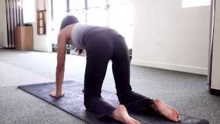 Beginners Pilates  Pilates Exercises for Beginners and Seniors  PART 2 [upl. by Skinner]