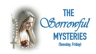 The Sorrowful Mysteries  VIRTUAL ROSARY  Tuesdays amp Fridays [upl. by Garnes]