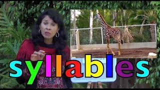 SYLLABLES with the animals K3 Learn English [upl. by Endor]