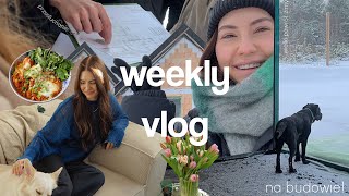 WEEKLY VLOG  się pozmieniało  idę zeznawać na policje storytime🙈 budowa domu  postępy Koko [upl. by Piefer]