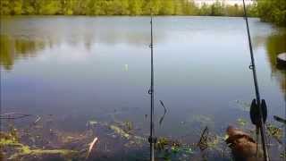 Fishing for Yellow Cats Black Bullheads at an old pond [upl. by Mathian]