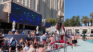 Wet Republic Ultra Pool  Las Vegas Pool Party [upl. by Akapol]