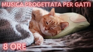 32🐱 8 ore 🐱 Musica progettata per gatti 🐱Musica Rilassante Per Gatti per calmarsi il dormire [upl. by Aryc]