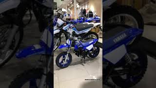 50cc Dirt Bike Yamaha PW50 [upl. by Ardnasella]