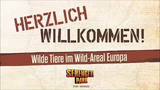 Neue Tiere im SerengetiPark WildAreal Europa [upl. by Norton]