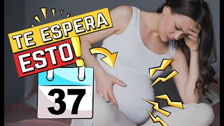 😣🔥 Síntomas de la SEMANA 37 de embarazo ¿Qué va a pasar [upl. by Neelon]