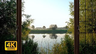 4K Lake window view during sunrise with birds calling  Relaxing Calming Ambience [upl. by Thadeus]