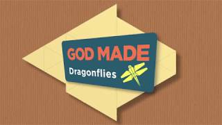 God Made Dragonflies [upl. by Call413]