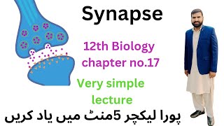 synapse 12 Class biology  synapse in Urdu Hindi 2ndyearbiology [upl. by Ikuy391]