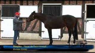 Haras de Saint Arnoult  Route des Etalons 2011 [upl. by Anaejer882]