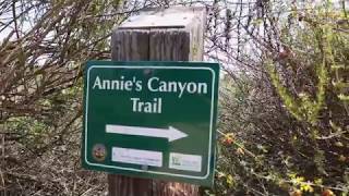 Hiking Annies Canyon Trail in Solana Beach [upl. by Eseekram609]