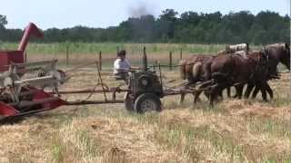 Amish Harvest in Holms County Ohio [upl. by Elyn]