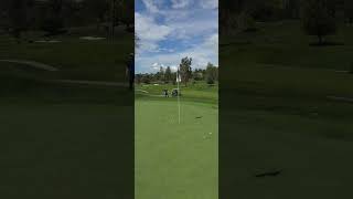 testing the new callaway jaws Wedge hitting spinners [upl. by Kcirej308]