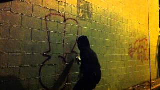 2011 Graffiti Throwie Bombing [upl. by Drofnas322]