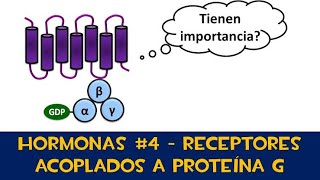 Receptores acoplados a proteína G  metabotropicos [upl. by Sherr]