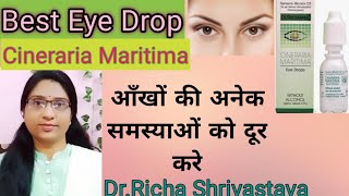 Cineraria Maritima Best Homeopathic Eye drop for all kind of eye problemits uses amp indicationHindi [upl. by Martine803]