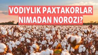 Vodiylik paxtakorlar nimadan norozi [upl. by Wolsniw]