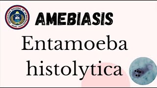 Amebiasis  Entamoeba histolytica [upl. by Eramat688]