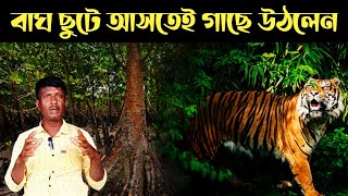 গাছে উঠতেই গাছের নীচে বাঘের আস্ফালন  Sundarban Fishing And Royal Bengal Tiger [upl. by Tilden]