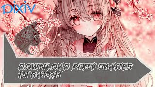 How to Download Pixiv Images in Batch [upl. by Auehsoj]