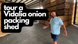 Vidalia Onion Packing Shed Tour [upl. by Bakeman]