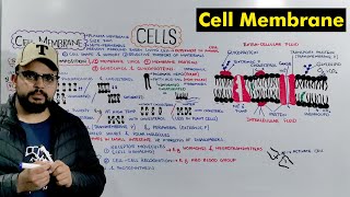 Cell membrane  Plasma Membrane Structure and Function Detailed Lecture [upl. by Lachus]