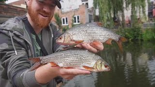 Cheap Easy Method Catches Specimen Canal Fish [upl. by Einnaj]