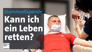 Stammzellenspenden Die Chance auf ein zweites Leben  Die Story  Kontrovers  BR24 [upl. by Rovert174]