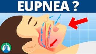 Eupnea Medical Definition  Quick Explainer Video [upl. by Merp]