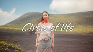 【伊豆大島】Disney｜Circle of life  映画ライオン・キング The Lion King 劇団四季 [upl. by Kamillah357]