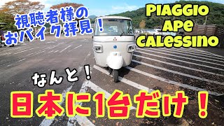 日本に一台！ピアジオ アペ カレッシーノ おバイク拝見！ piaggio ape calessino トゥクトゥク vespa tuktuk [upl. by Morgan447]