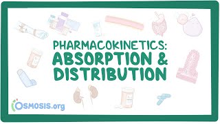 Pharmacokinetics Drug absorption and distribution [upl. by Novak696]