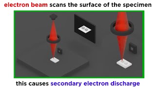 Electron Microscopy TEM and SEM [upl. by Annoved]