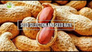 GROUNDNUT CROPPING GUIDE 4R NUTRIENT MANAGEMENT AND BEST AGRONOMIC PRACTICESGHANA [upl. by Htehpaj]