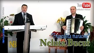 NELUTA BUCUR  Frunzulita maracine live video [upl. by Russ]